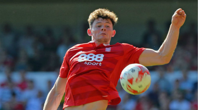 在今年与山 在今年与山